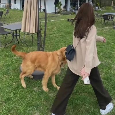 《牡丹花血案》