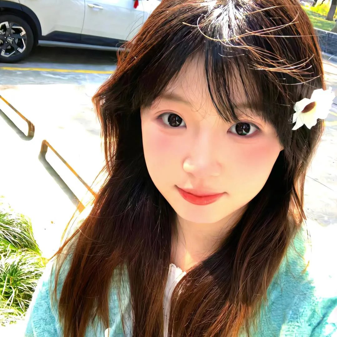 《极地熊踪》